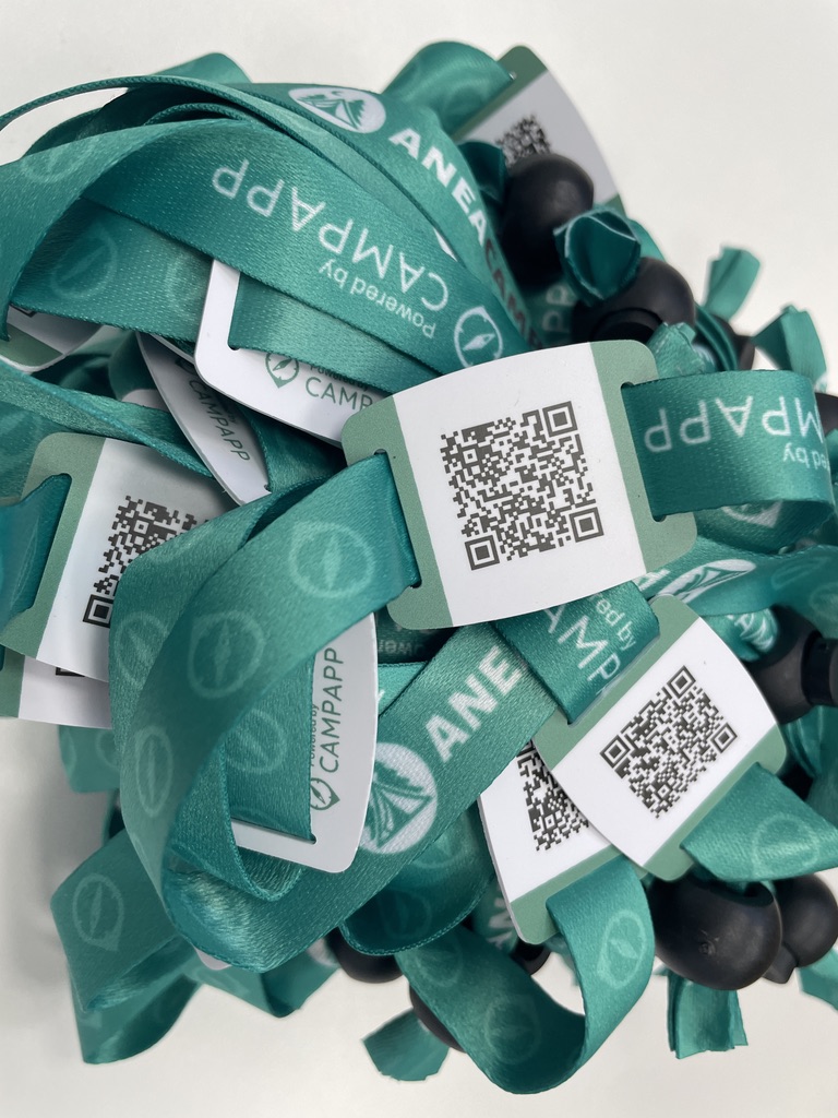 Asistentes en el Congreso ANEA